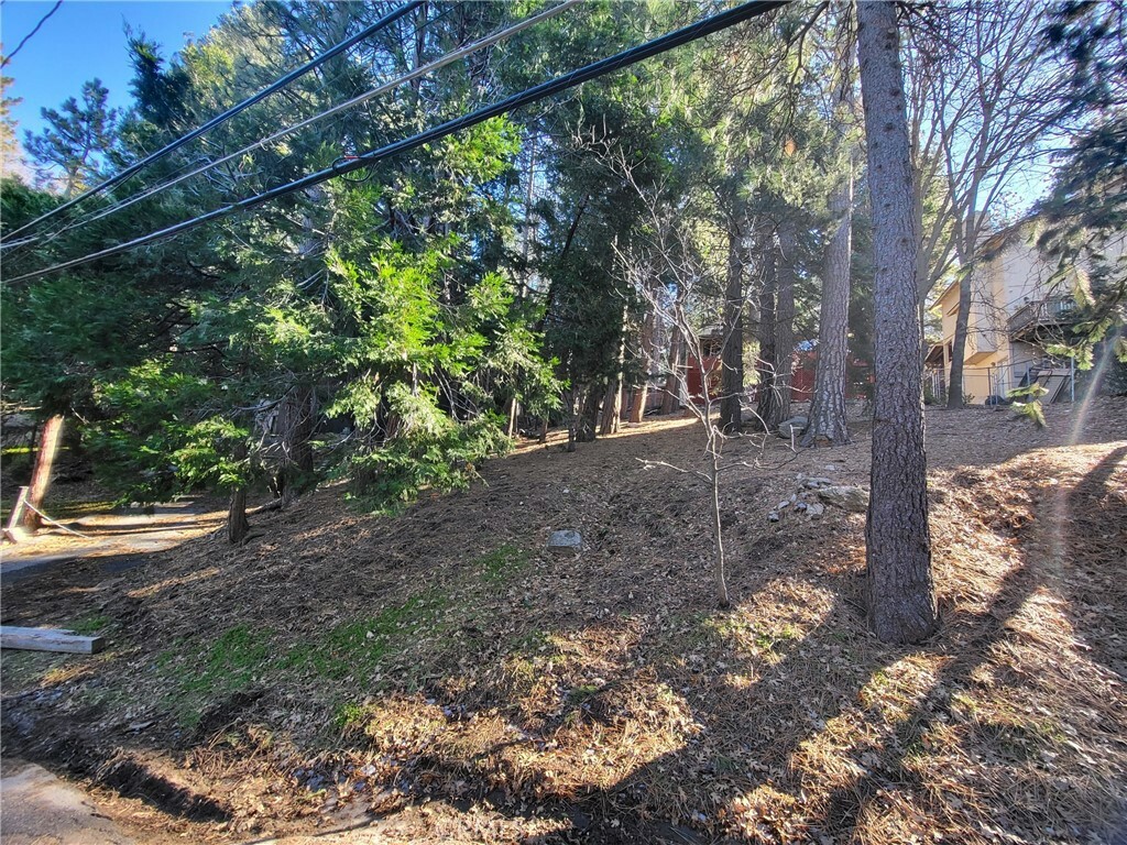 Property Photo:  0 Scenic View 0340-282-11 Drive  CA 92325 