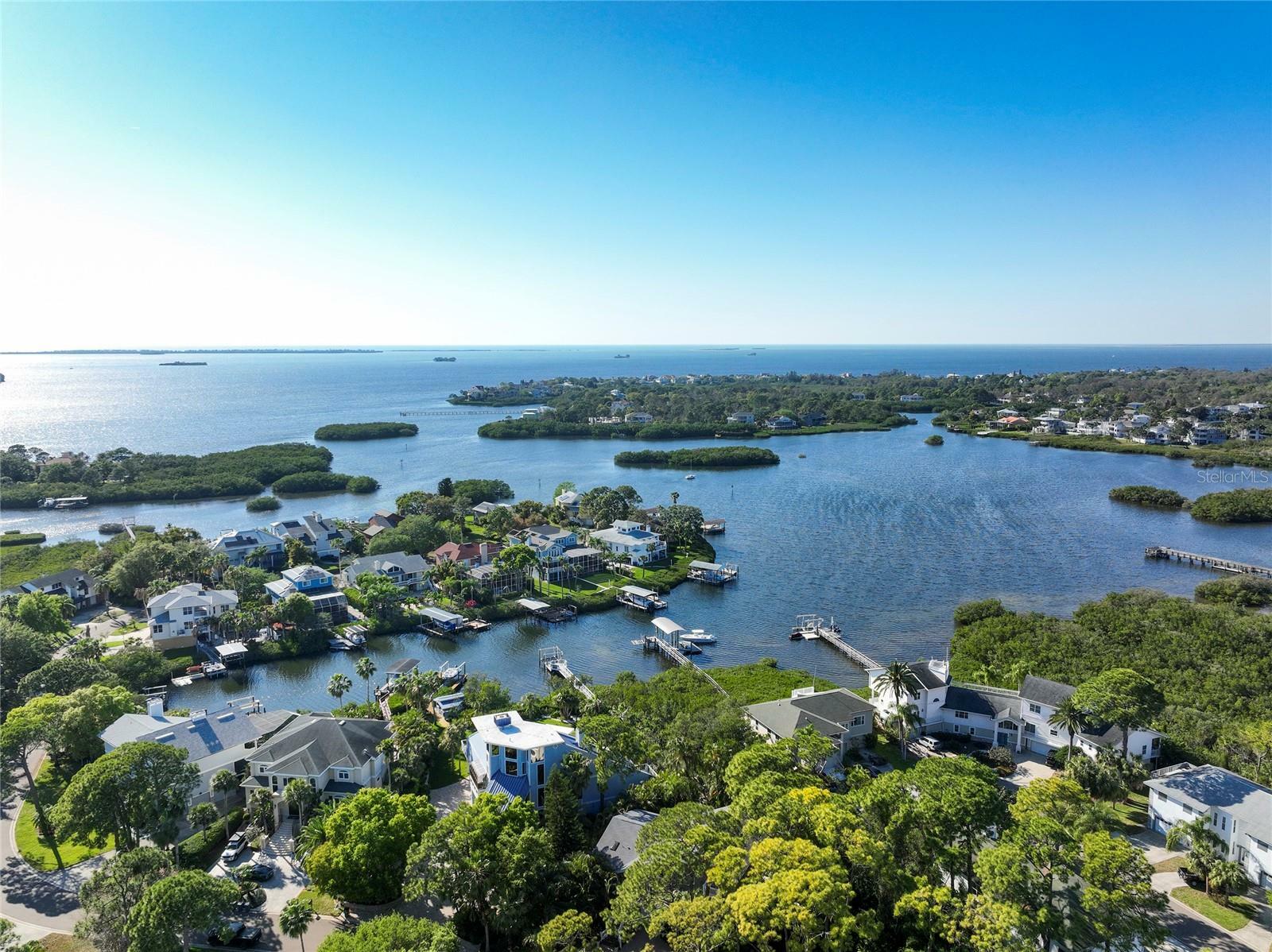 761 Soundview Drive  Palm Harbor FL 34683 photo