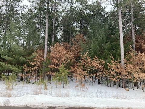 Property Photo: Lot 90 St. Andrews Park WI 54703