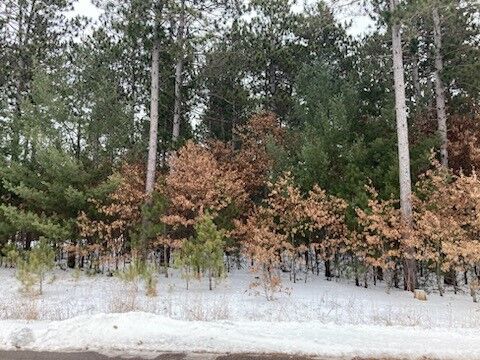 Property Photo: Lot 90 St. Andrews Park WI 54703