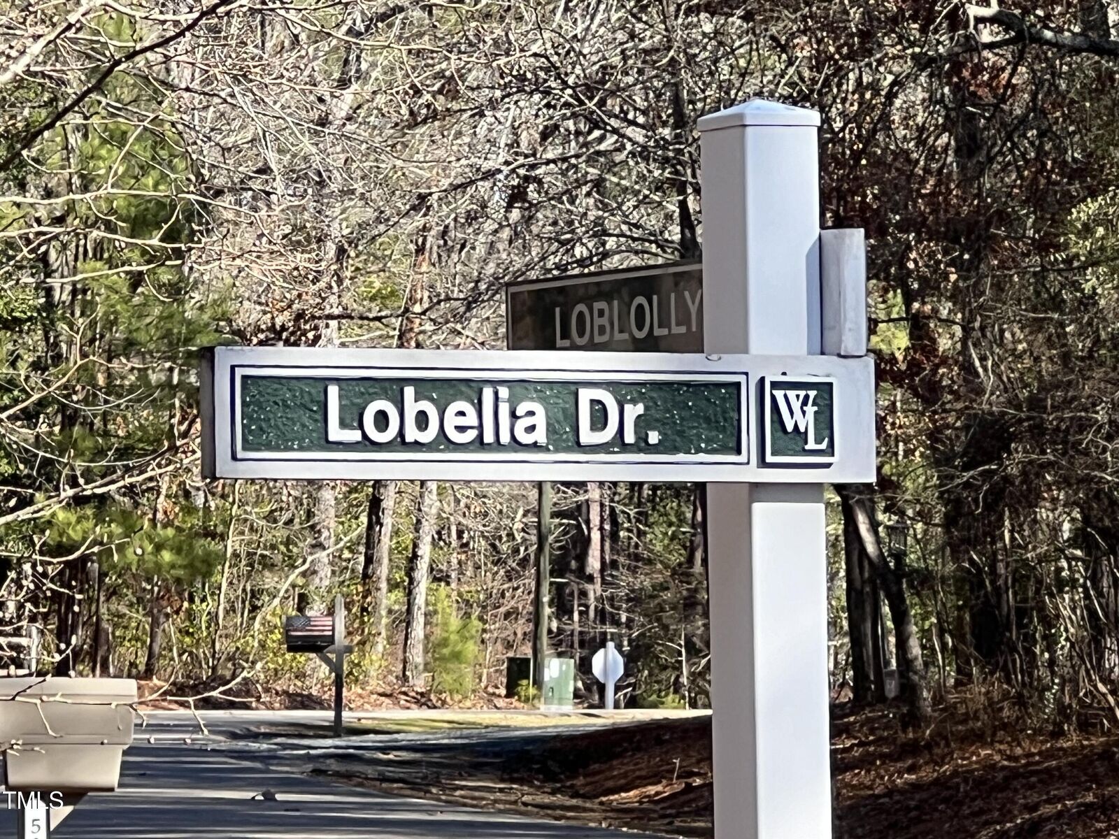 Property Photo:  415 Lobelia Drive  NC 28394 