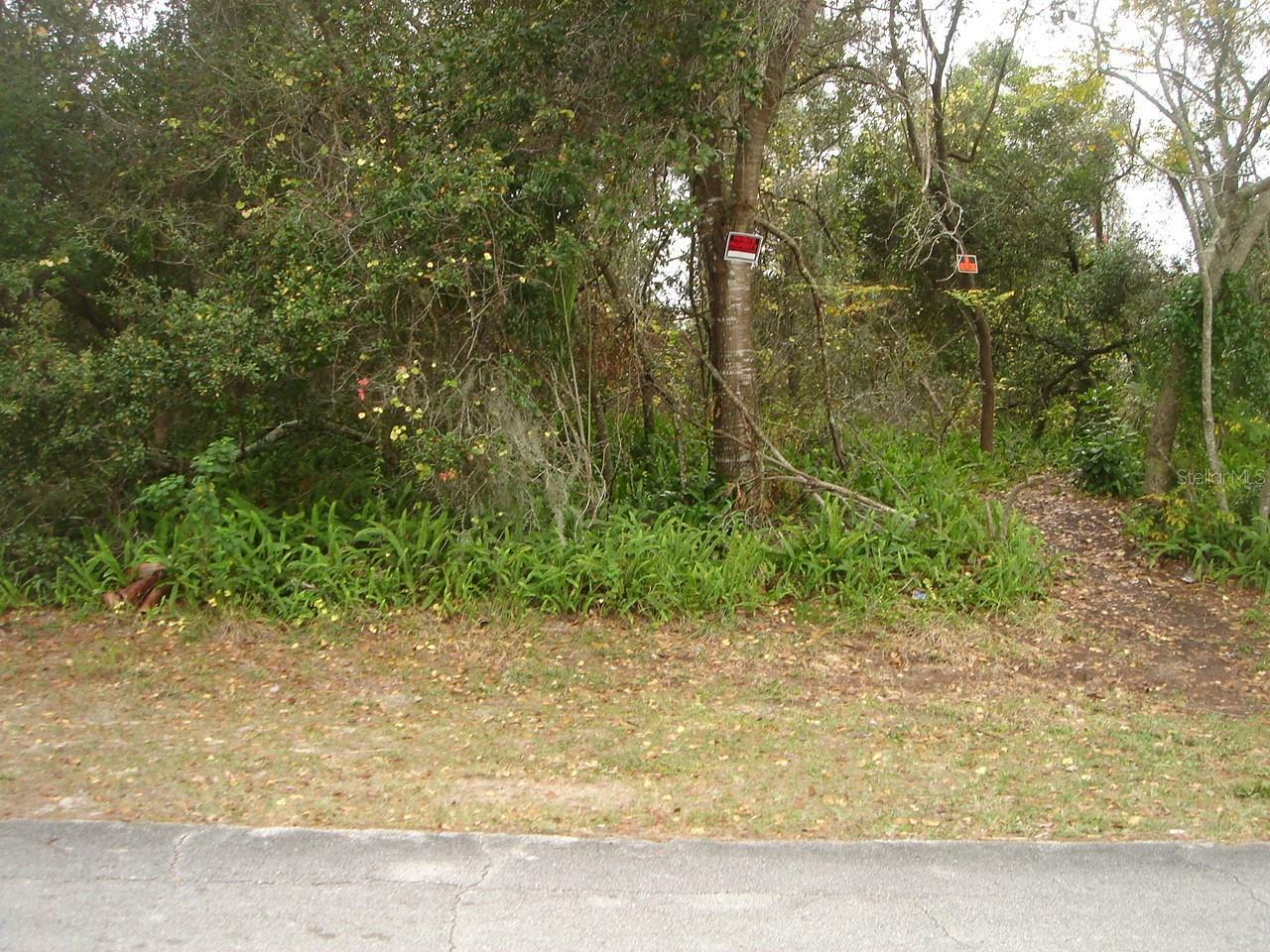 Property Photo:  1142 Lyric Drive  FL 32738 