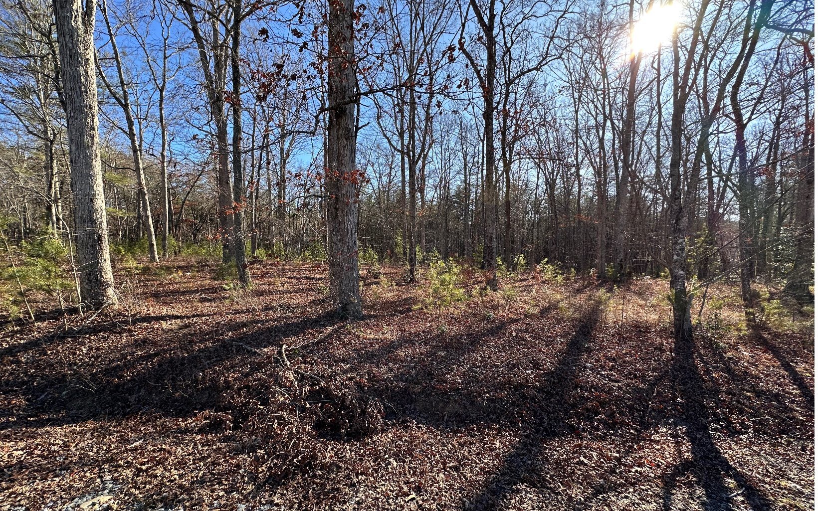 Property Photo: Lt 27 Fairview Drive GA 30560