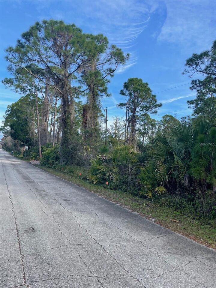 Property Photo:  Tatum Boulevard  FL 32168 