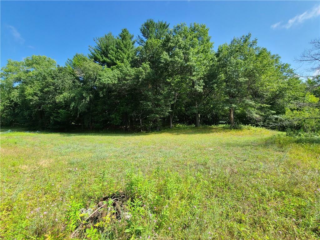 Property Photo:  Lots 11 & 12 670th Ave  WI 54703 
