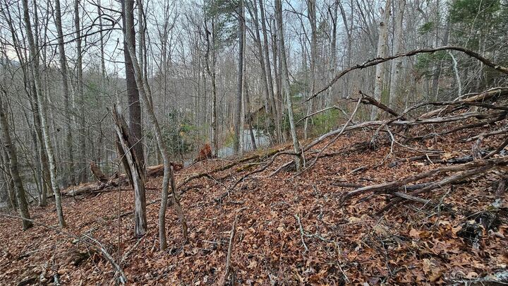 Property Photo:  Lot 13 Seay Mountain Road  NC 28785 