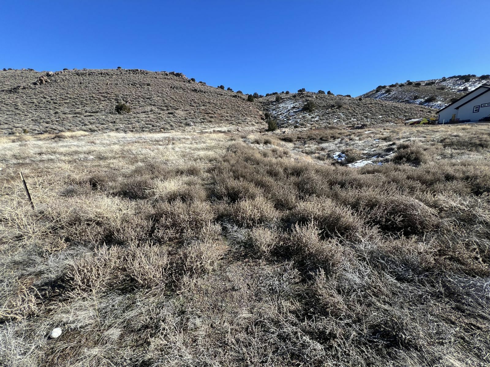 Property Photo:  Hamilton Creek Trail  NV 89801 