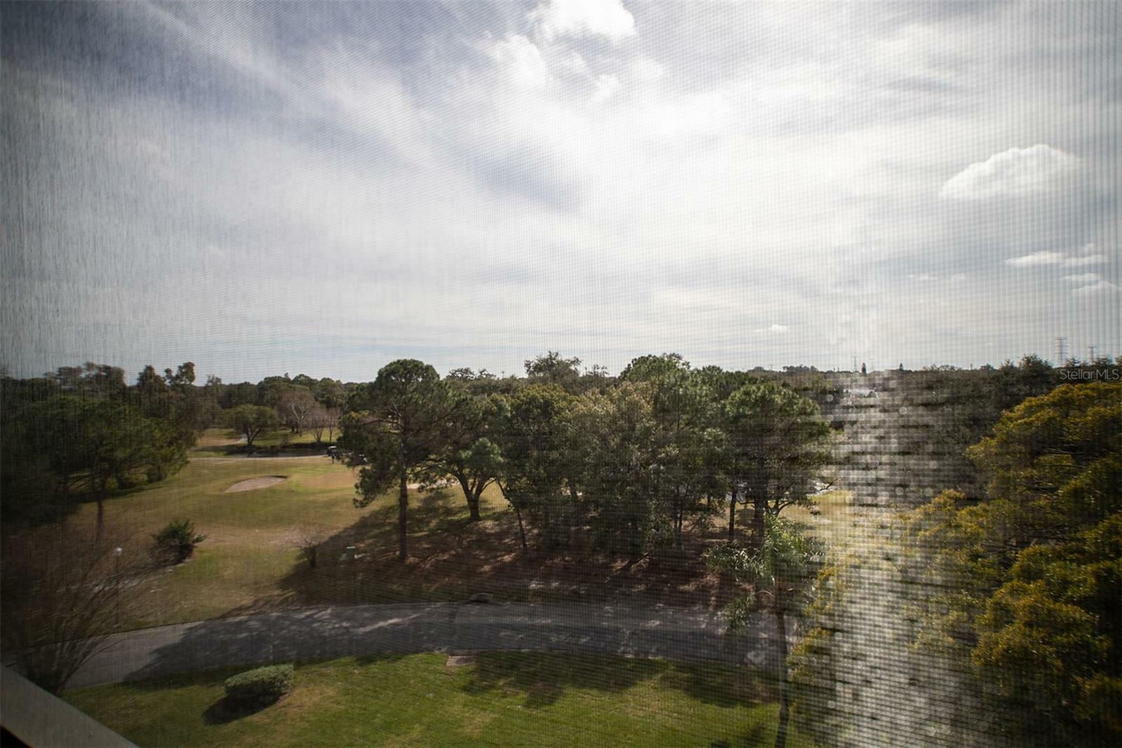 Property Photo:  2900 Cove Cay Drive 6C  FL 33760 