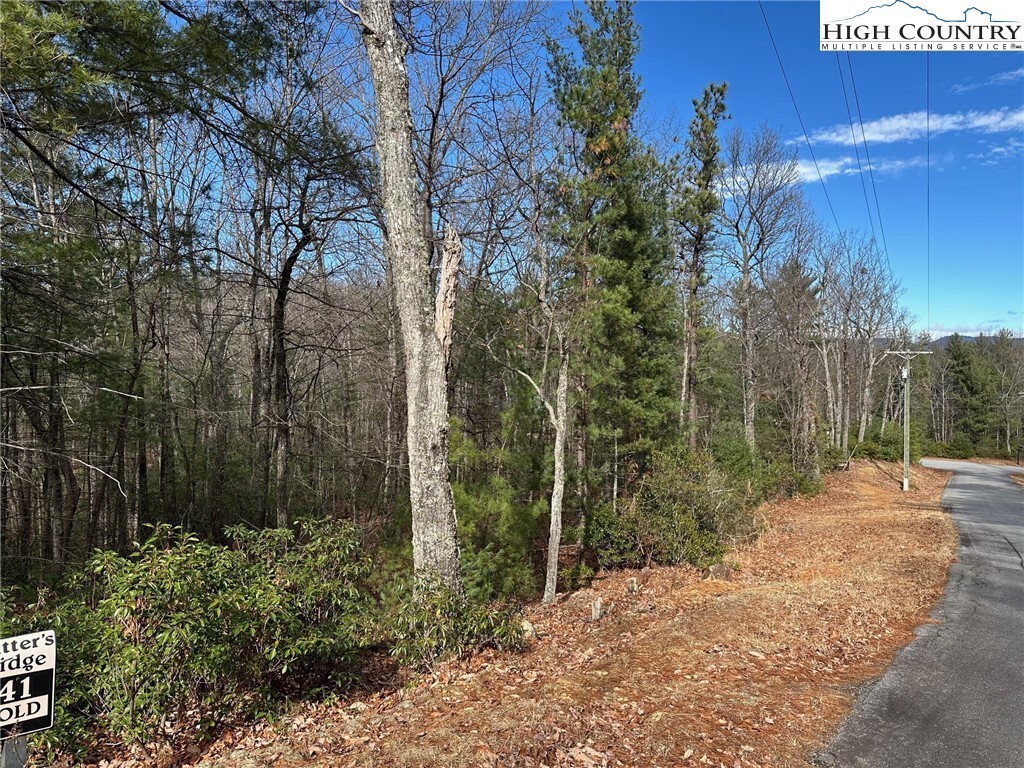 Property Photo: