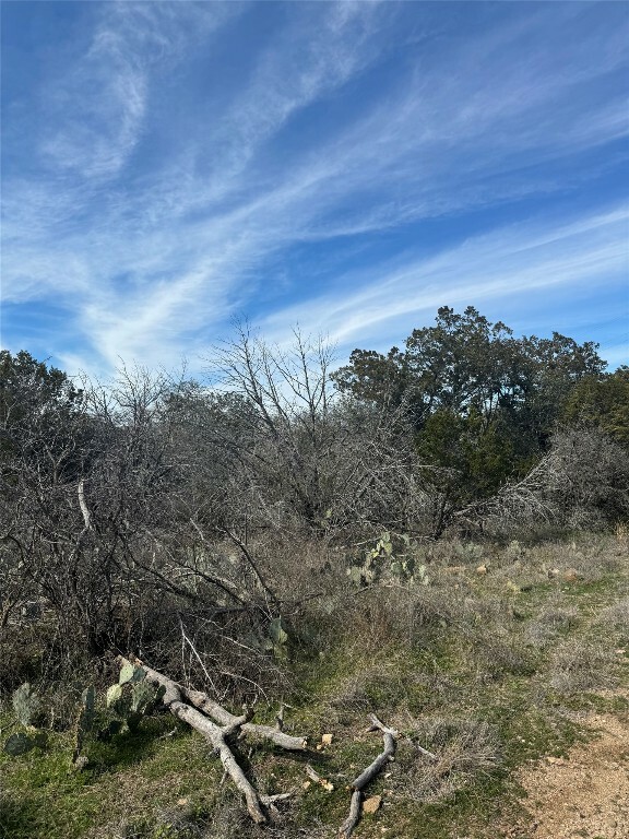 Property Photo:  Lot 7 Radium Drive  TX 78611 