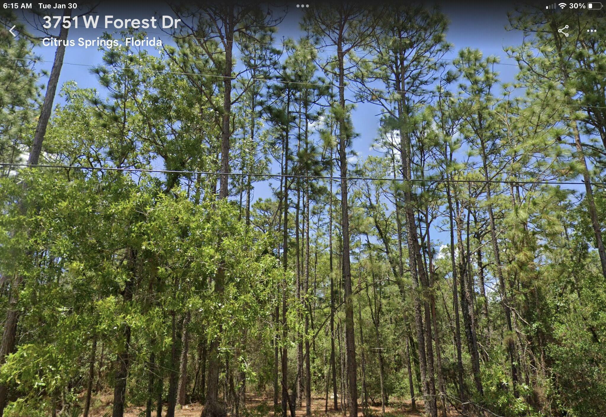 Property Photo:  3751 W Forest Drive  FL 34433 