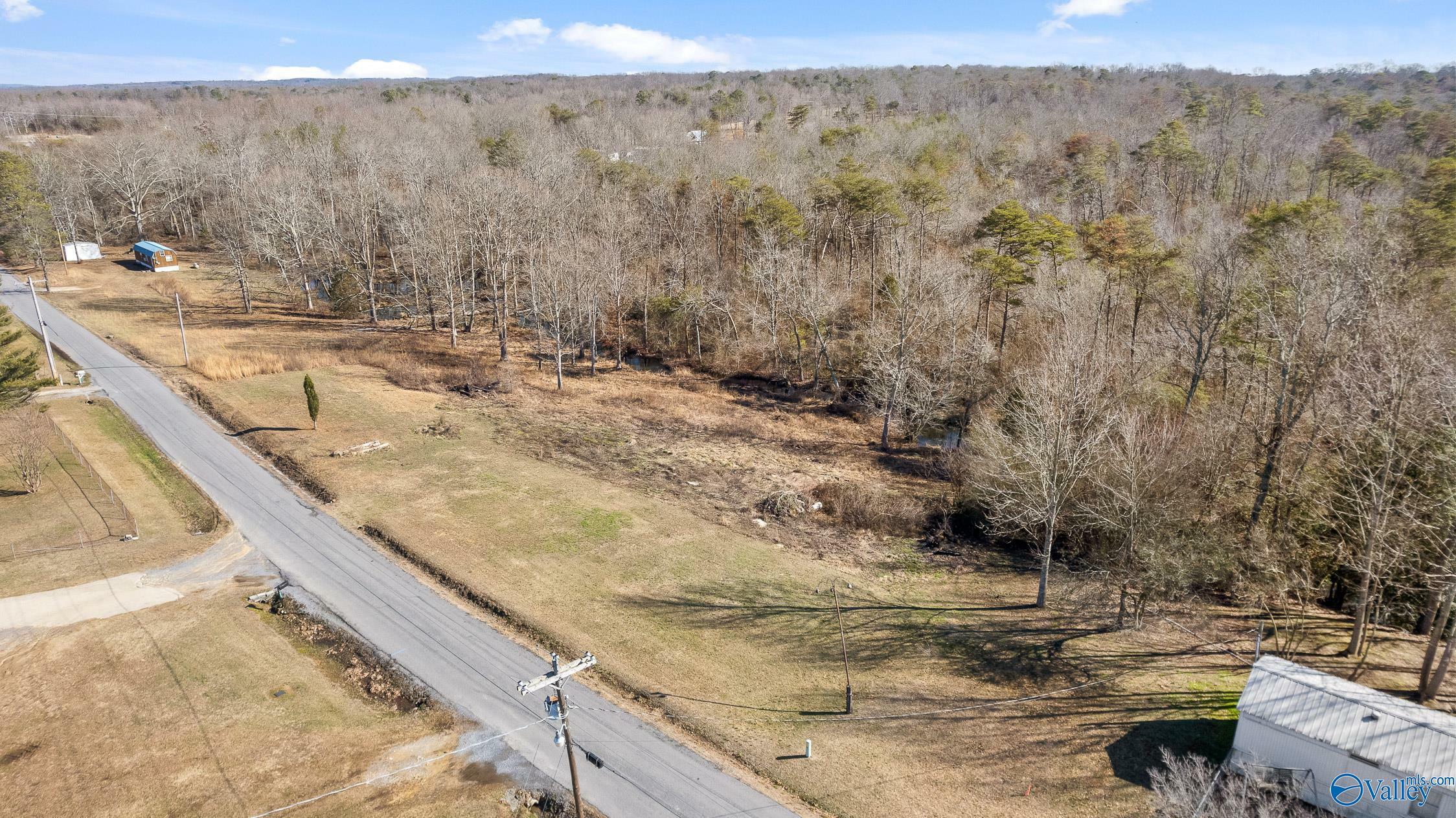 Property Photo:  Tract B County Road 784  AL 35981 