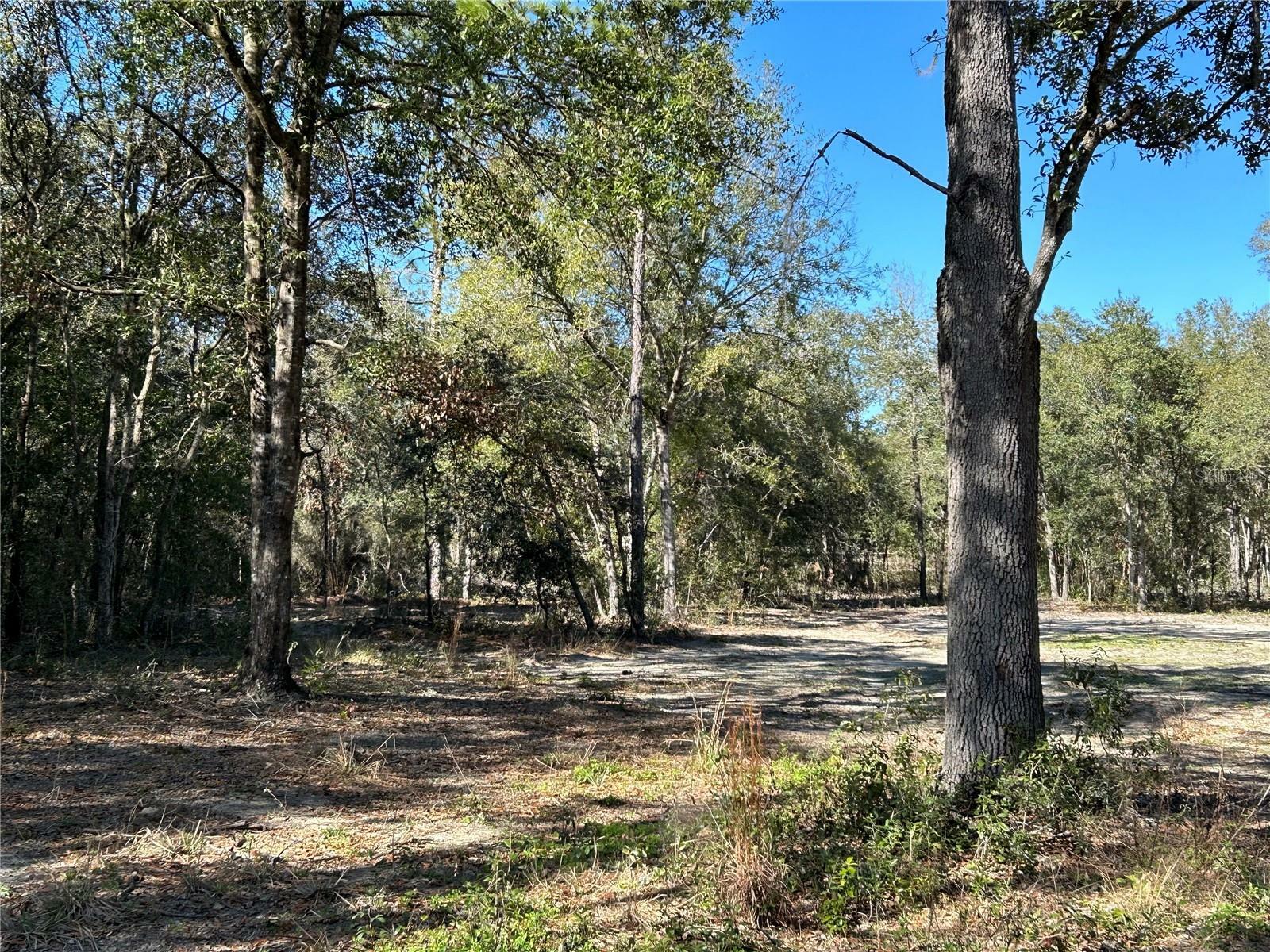 Property Photo:  Tbd NE 92nd Place  FL 32621 