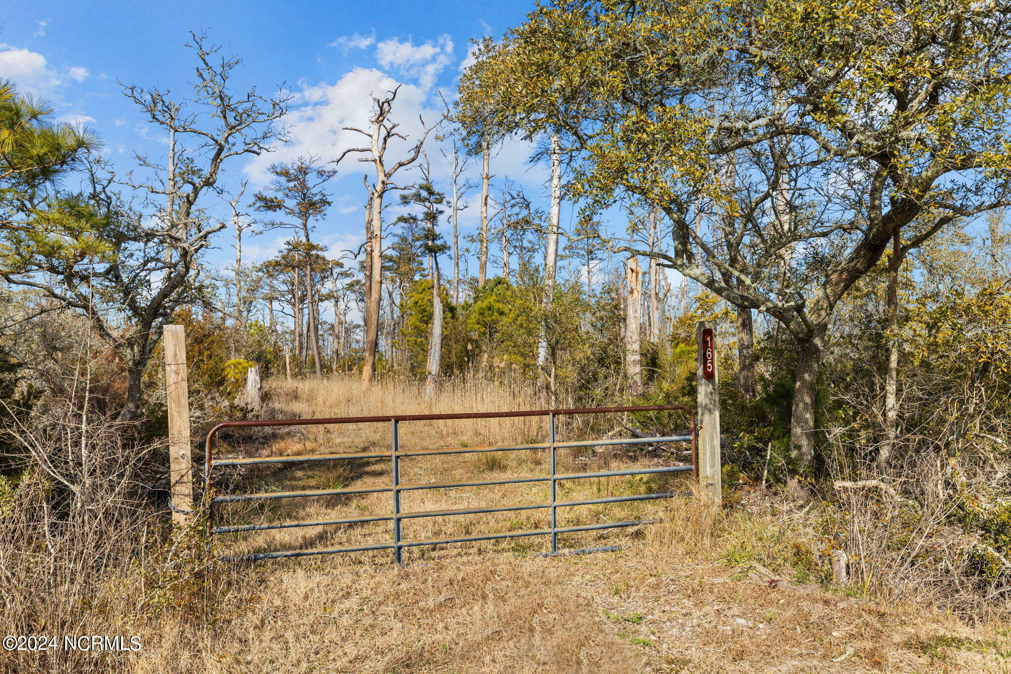 Property Photo:  165 Goose Pond Road  NC 28553 