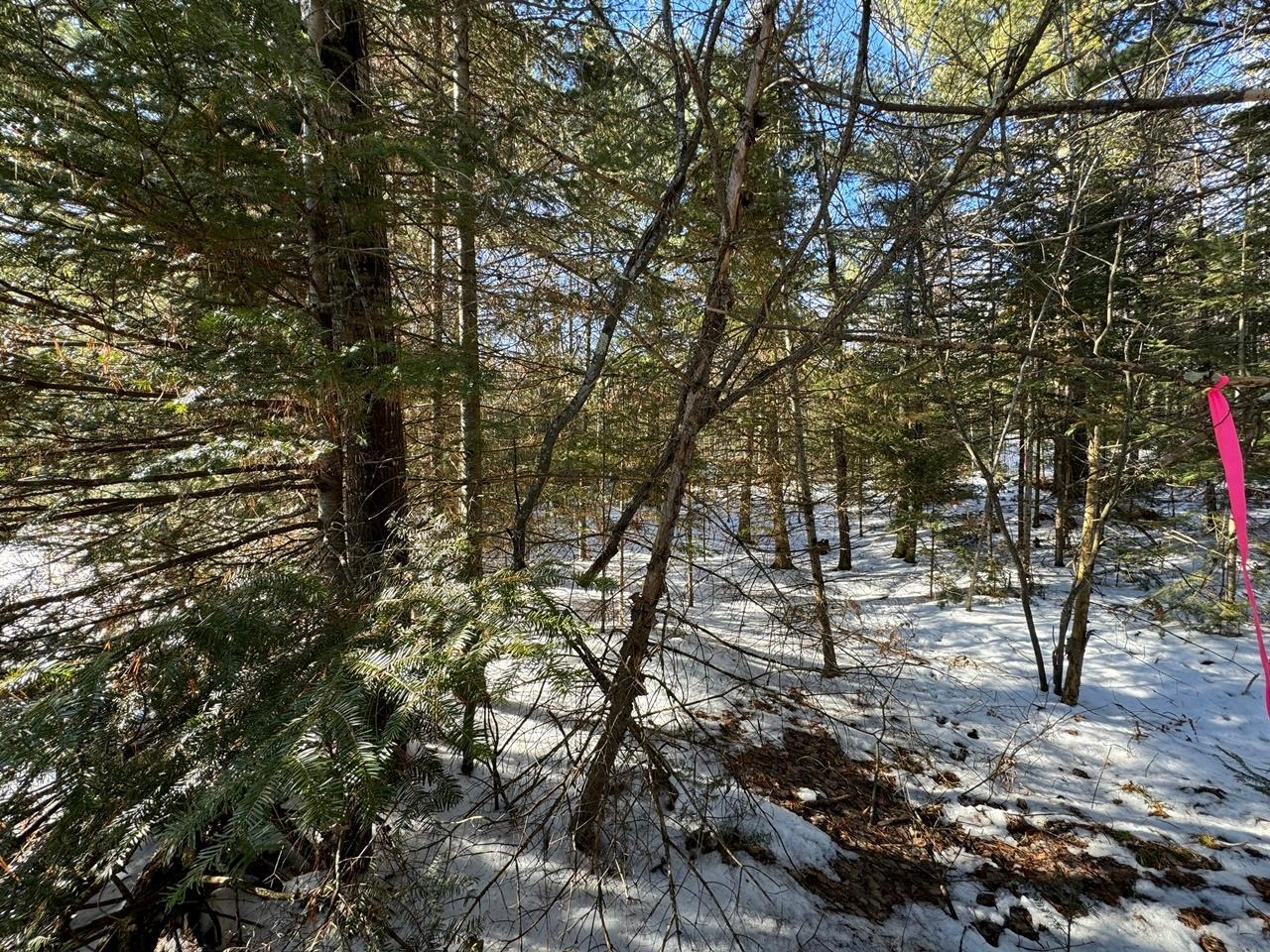 Property Photo: Lt 8 639 Mercer Lake Cr S WI 54547