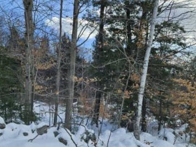 Property Photo: Huntington Hill Road NH 03281