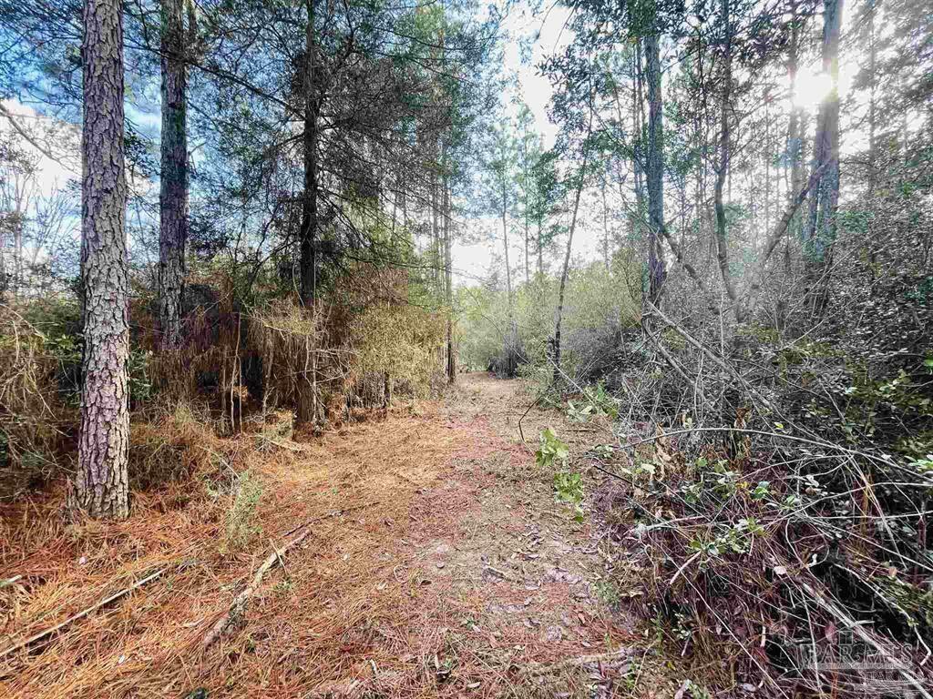 0000 Edith Ave Parcel A  Milton FL 32583 photo