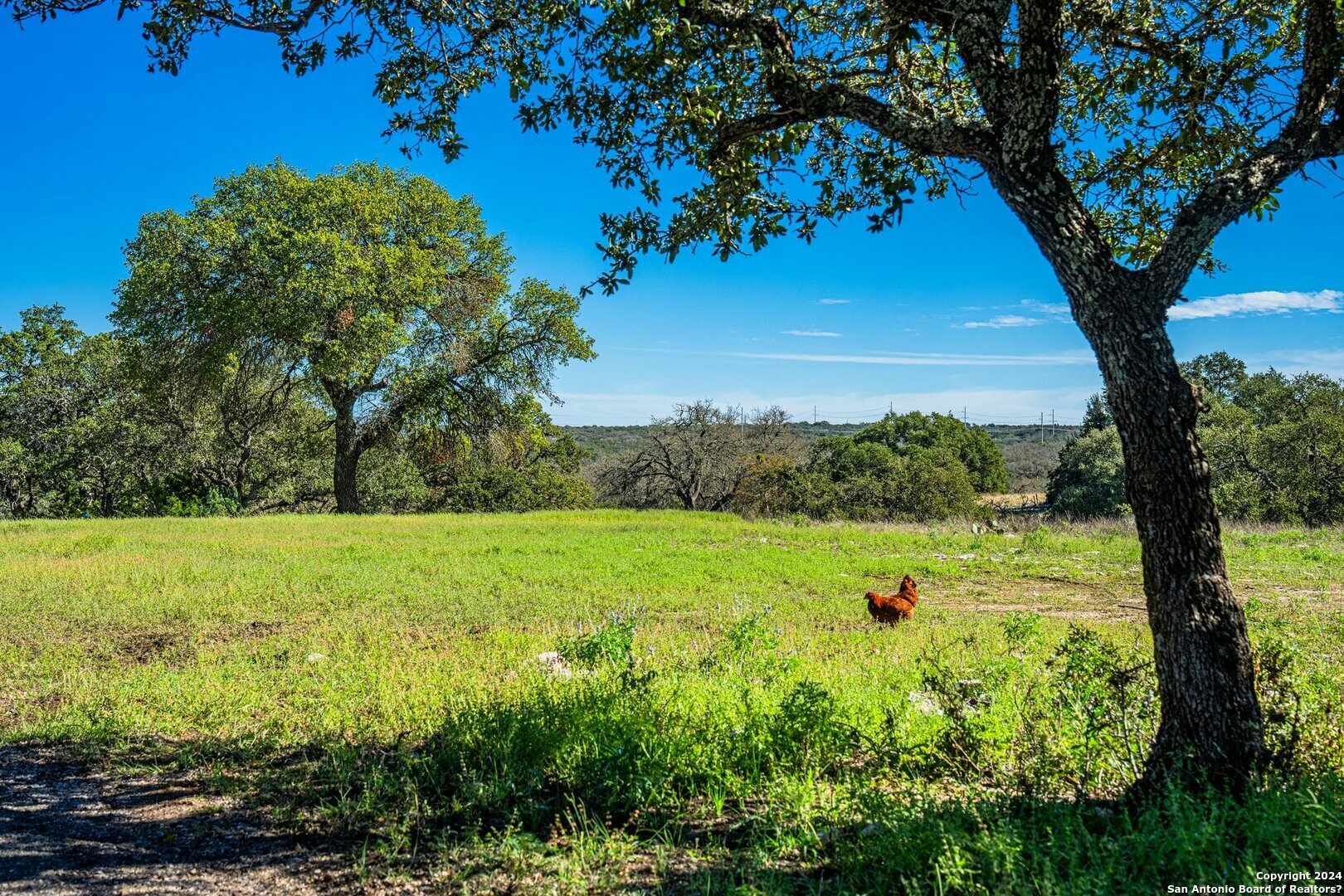 Property Photo:  342 Mealy Sage Rd  TX 78631 