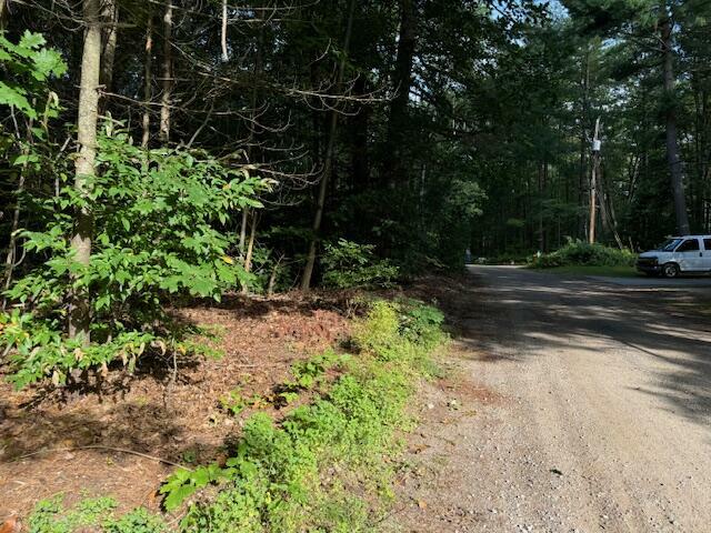 Property Photo: #3 S Perch Lake Drive MI 49735