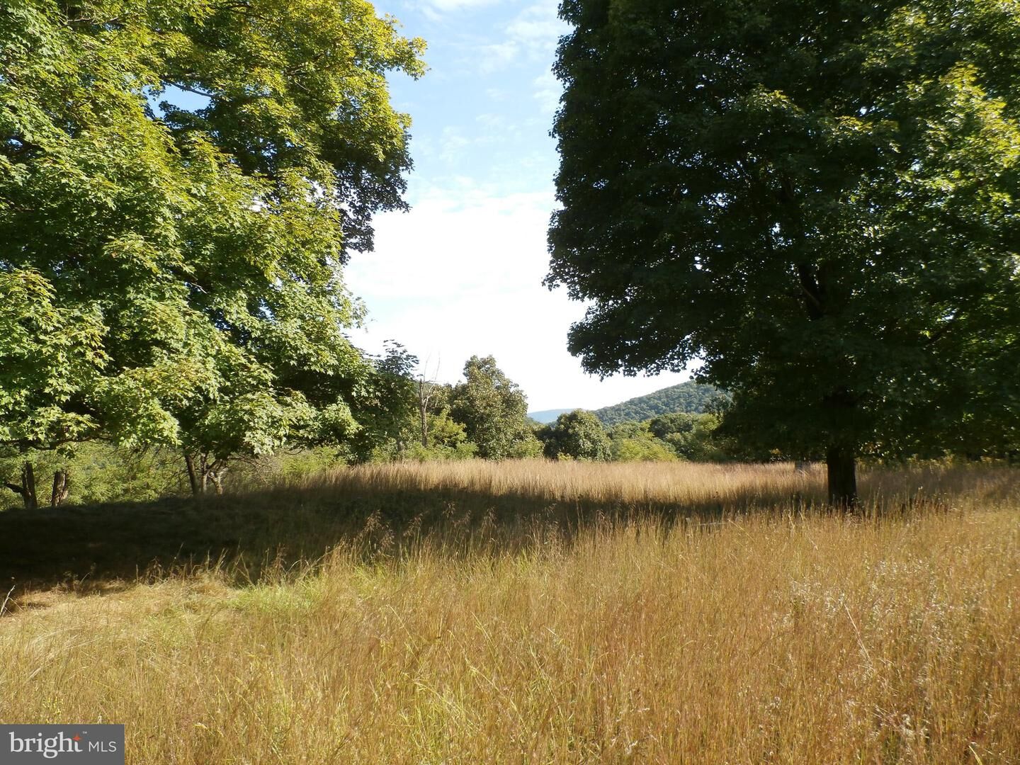 Property Photo:  Lot 35 &Amp 36 Nancy Hanks Drive  WV 26743 