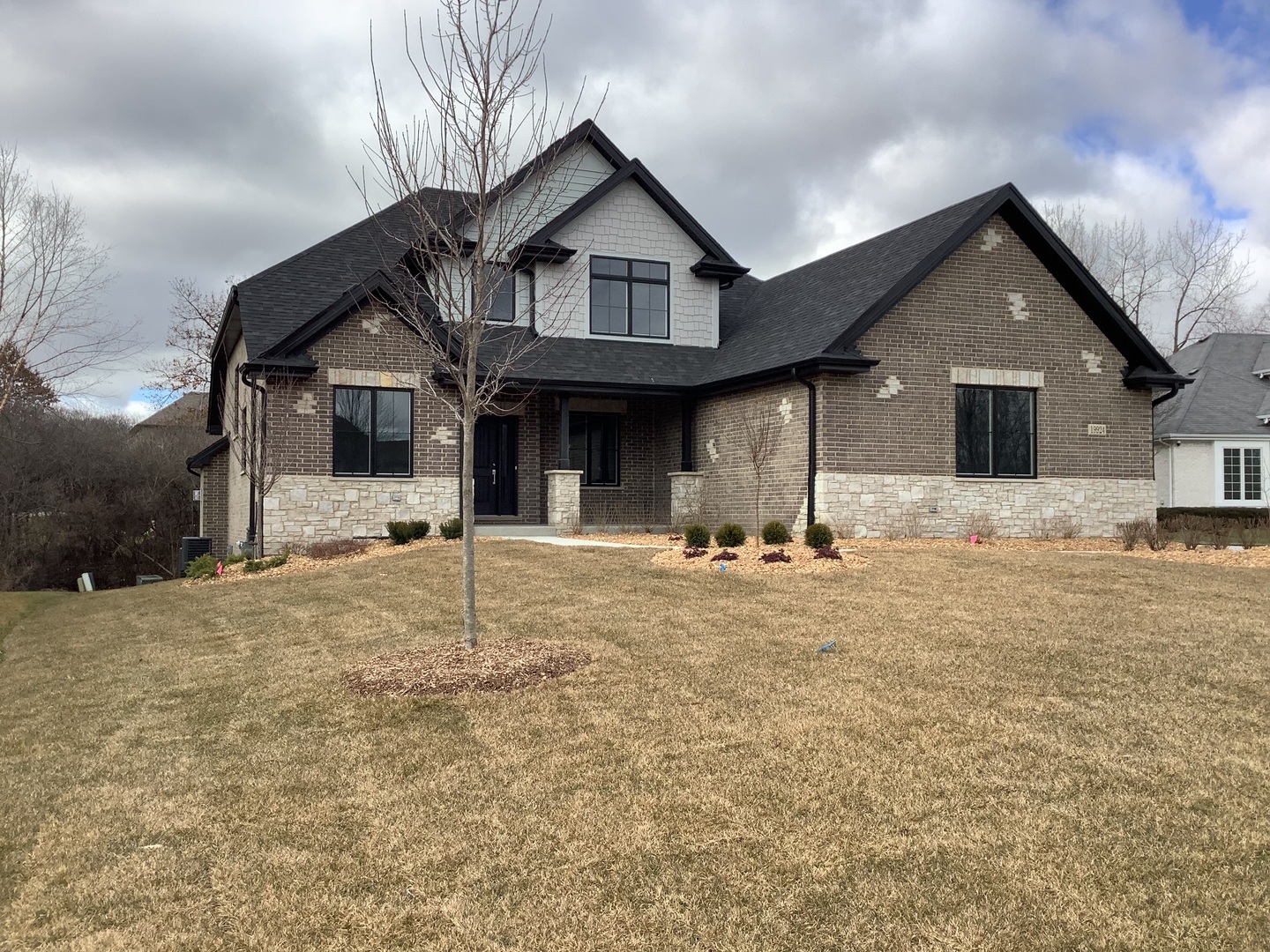 Property Photo:  19924 Amberly Court  IL 60448 