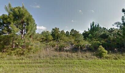 Property Photo:  12214 Beiman Avenue  FL 33981 