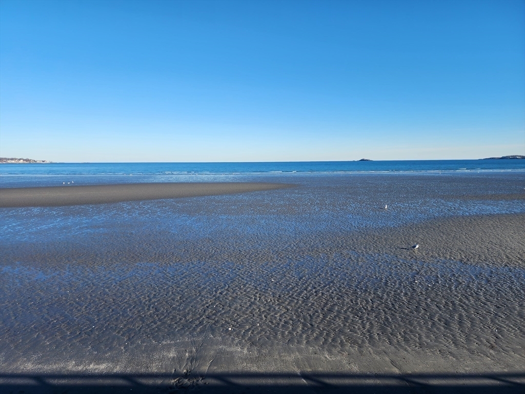 Property Photo: 281 Ocean St 2 MA 01902