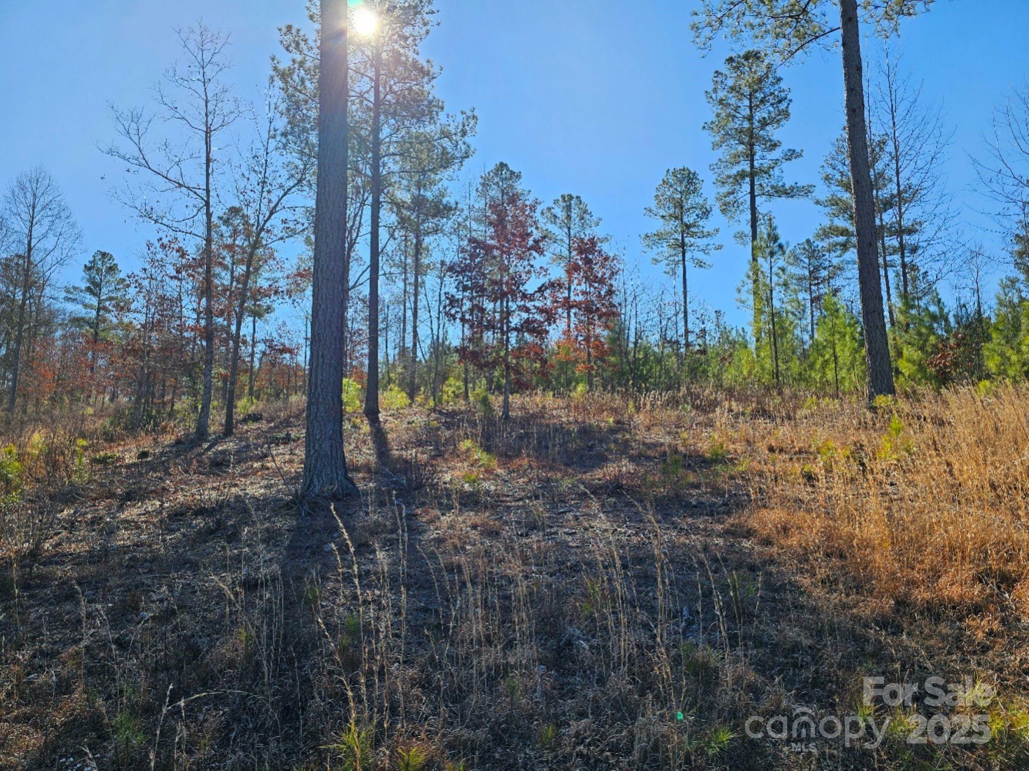 Property Photo:  2195 Inlet Shore Road  NC 28612 