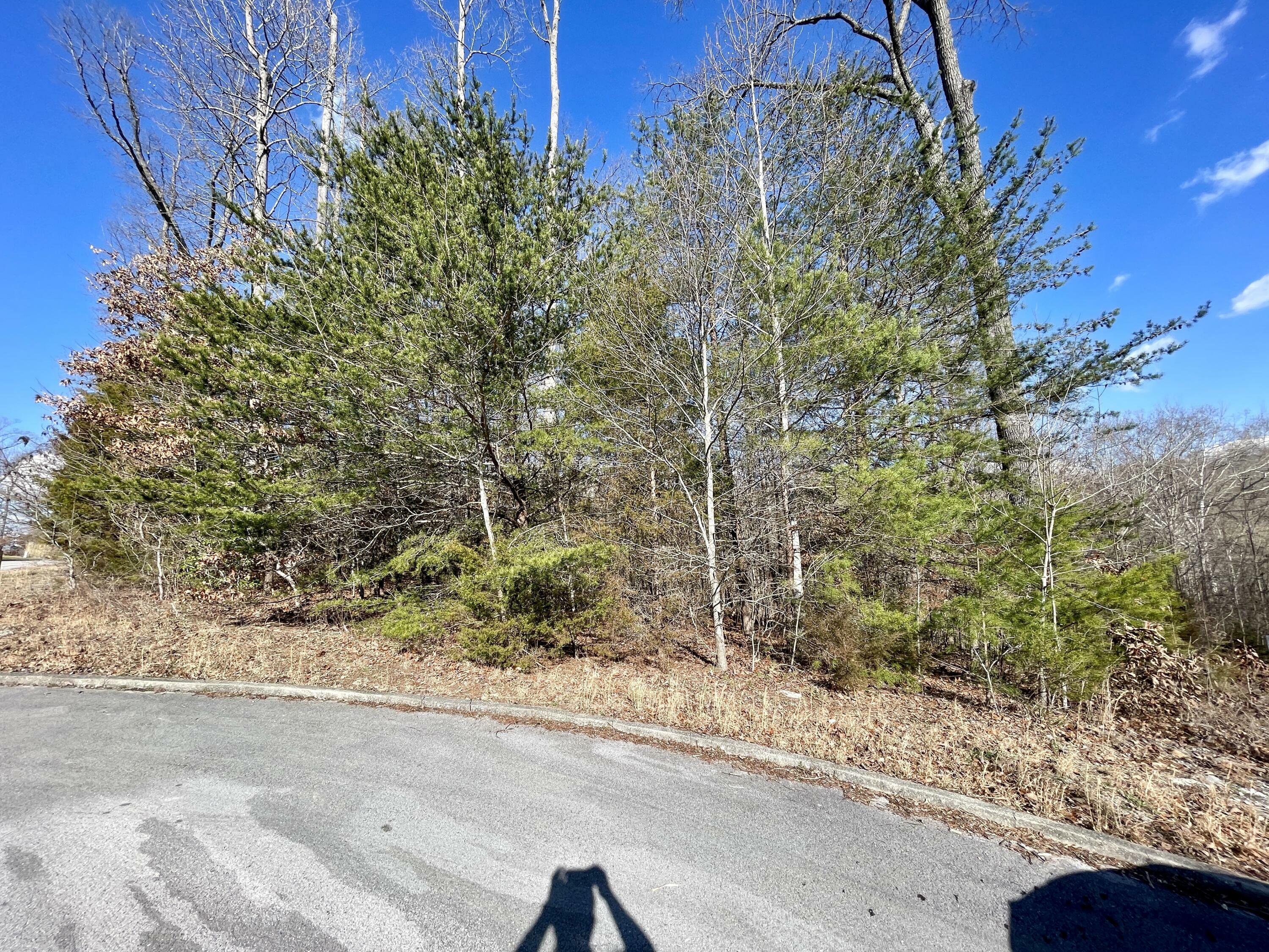 Property Photo:  745 Water Cliff Drive  KY 42503 