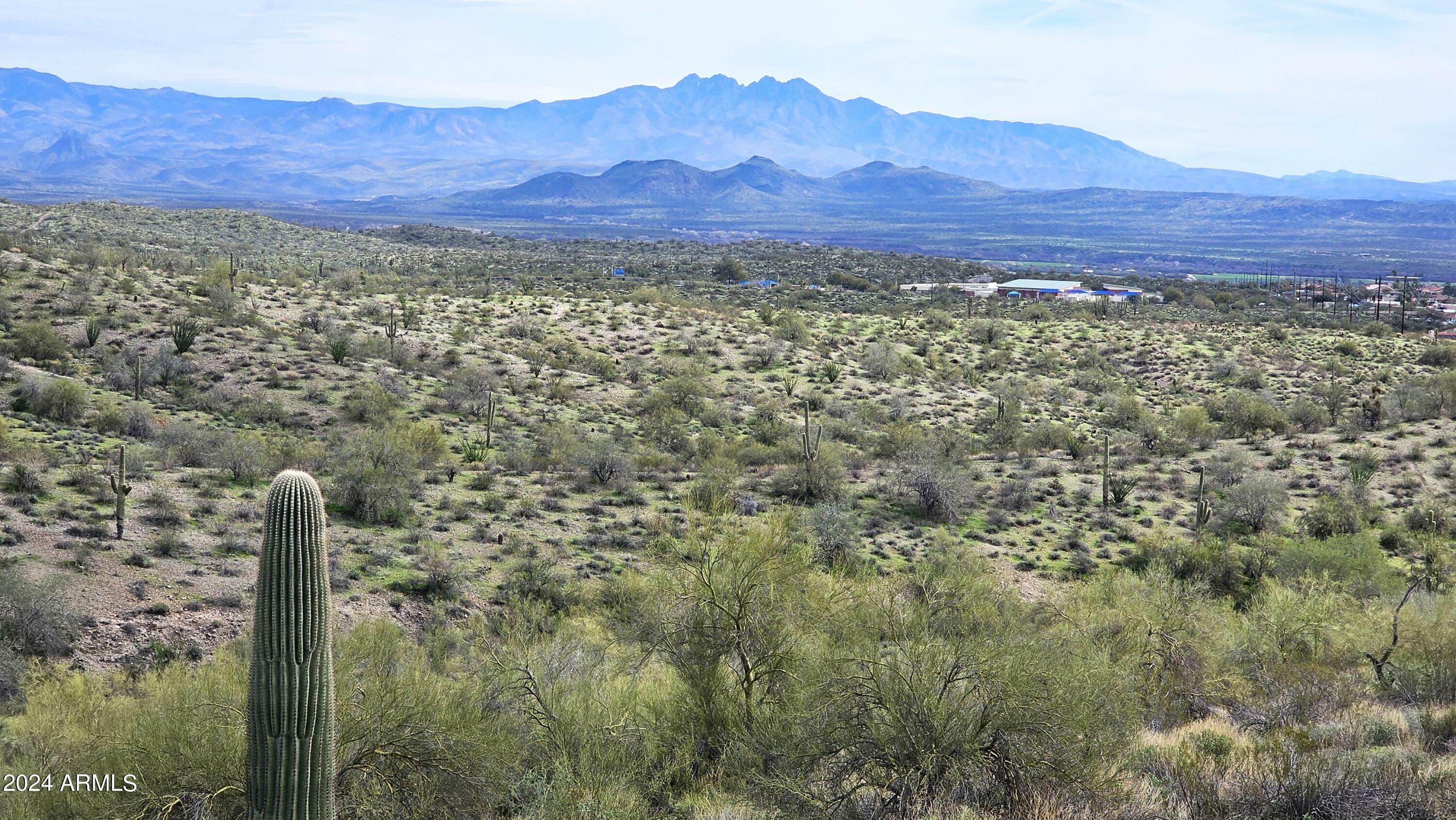 Property Photo:  15423 N Blackbird Drive  AZ 85268 