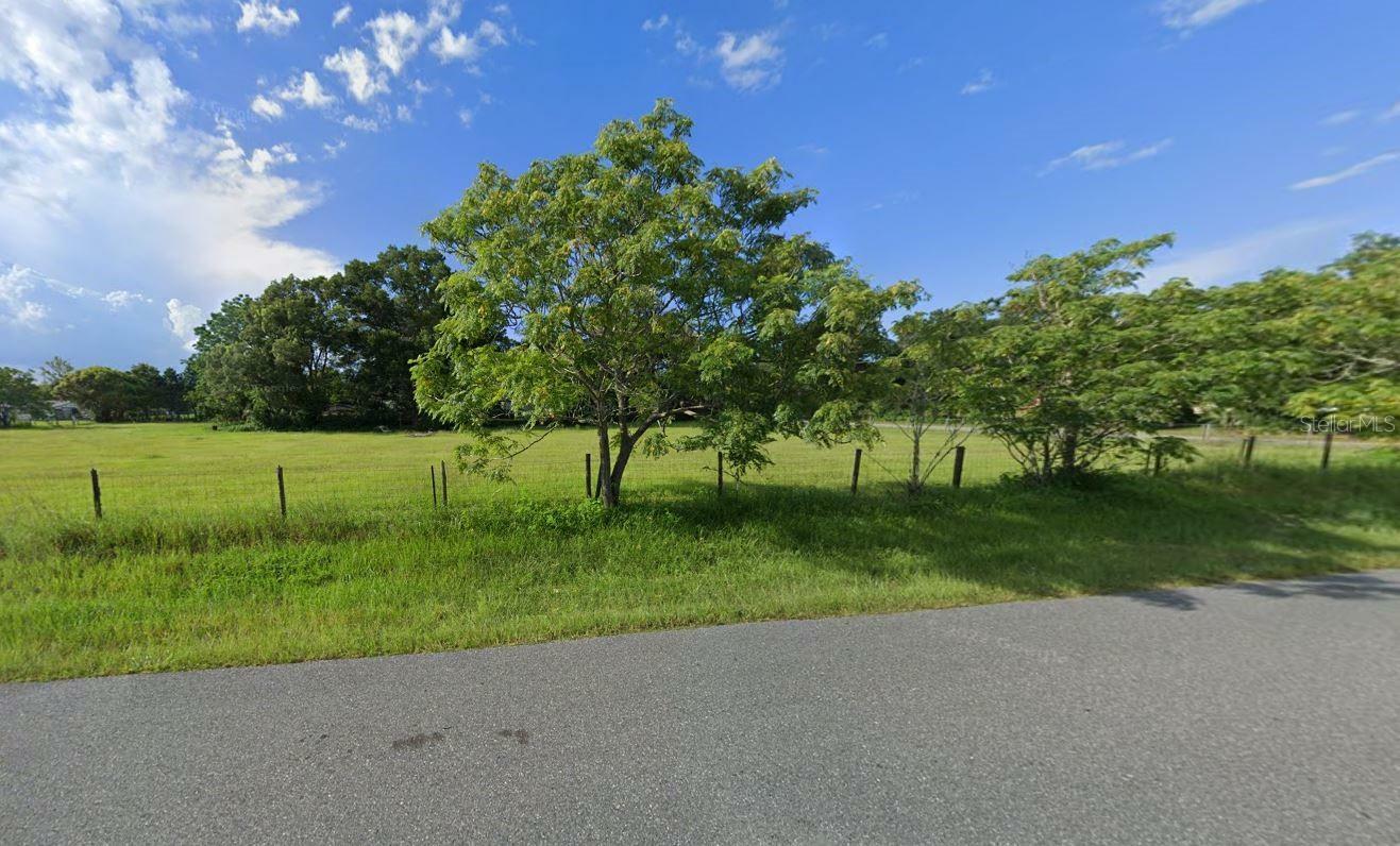 Property Photo:  32519 Thoroughbred Trail  FL 32776 