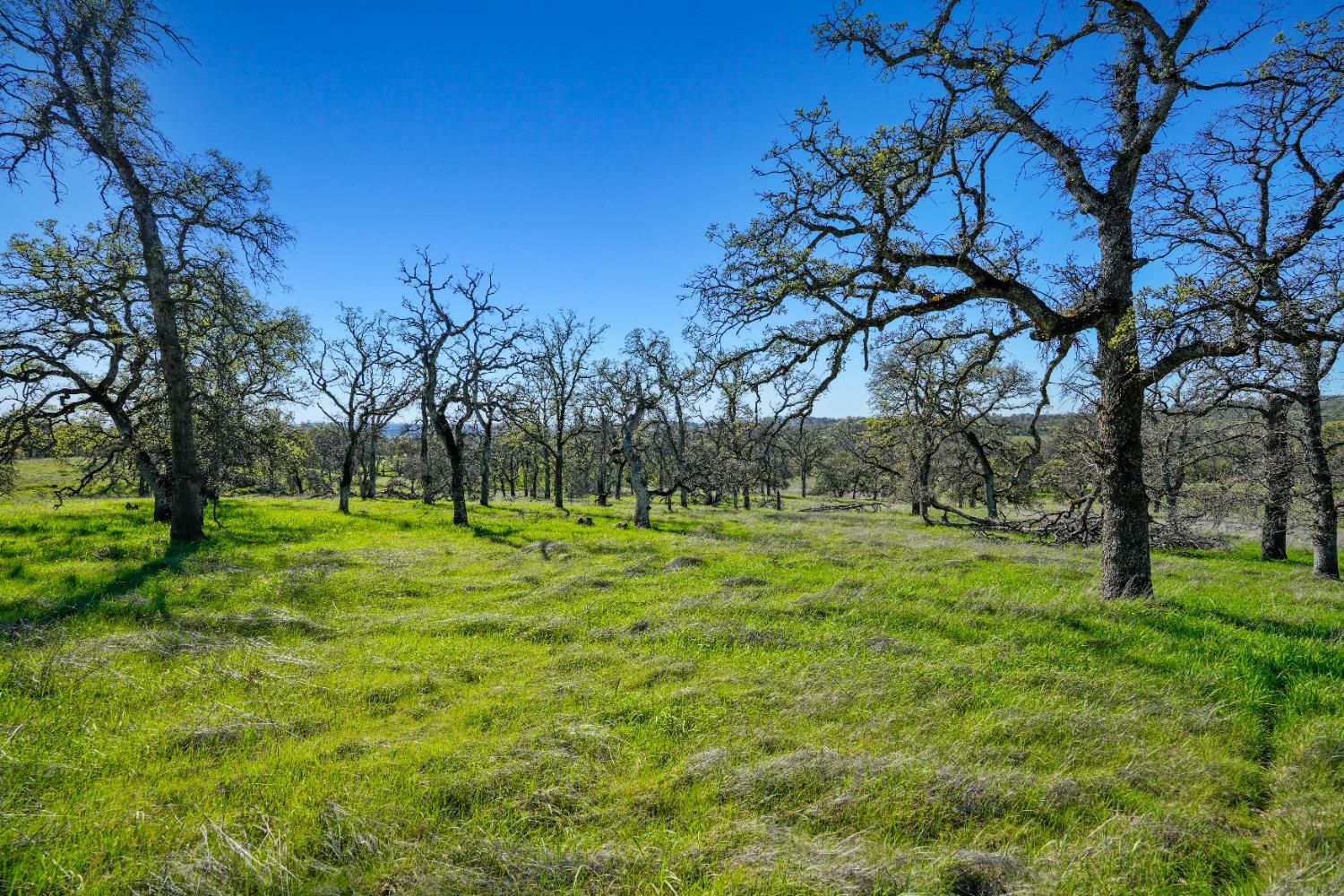 Property Photo:  18700 Matthew Road  CA 95692 