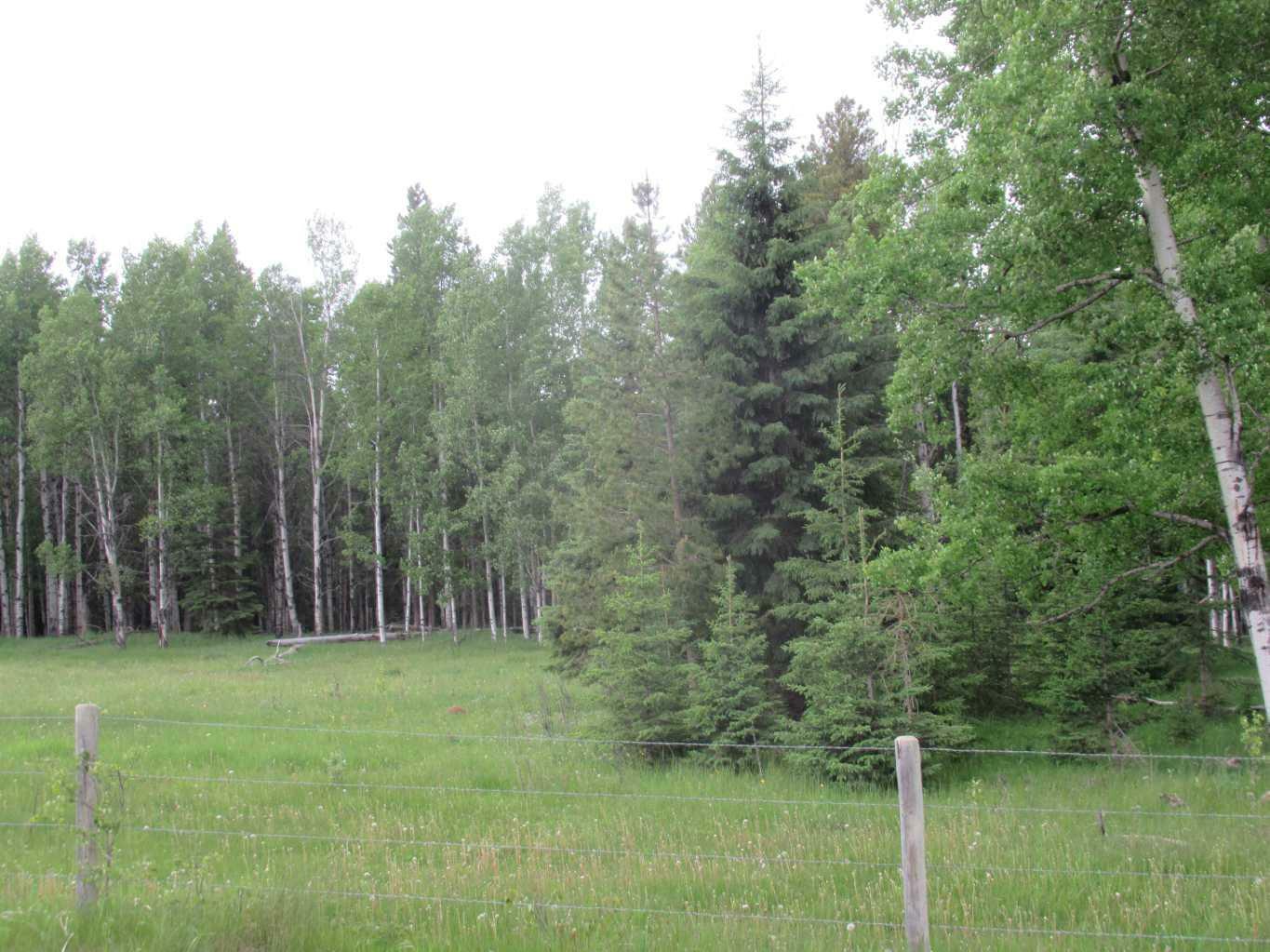 Property Photo:  Cow Creek Road  AB T4T 2A2 