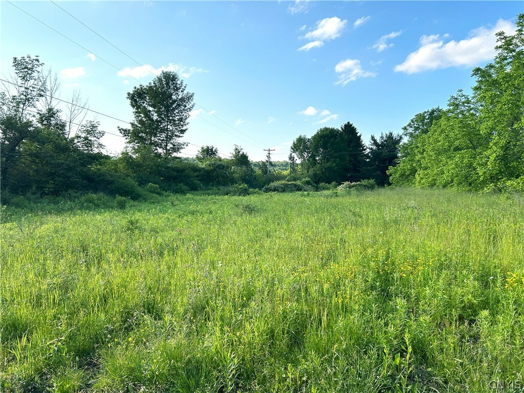 Property Photo:  0 Syrian Hill Road  NY 13101 