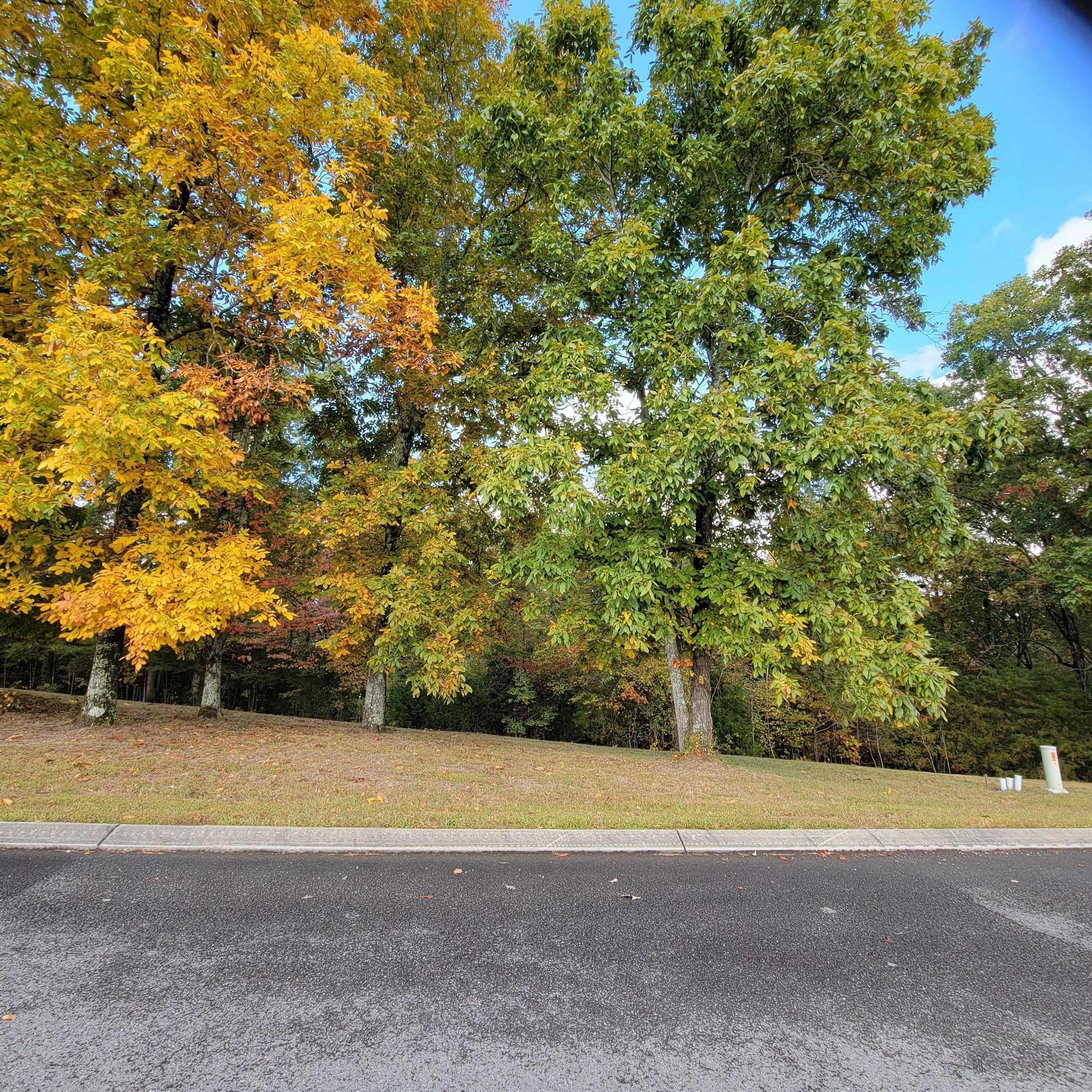 Property Photo:  Lot 27 Skyhigh Drive  TN 37327 