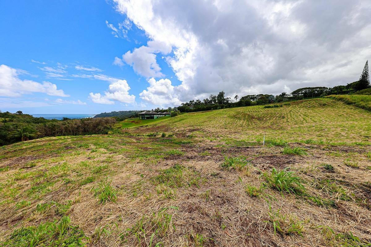 Property Photo:  4095 Pali Moana Pl  HI 96754 