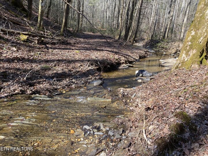 Property Photo:  57.09 Acs Rafter Rd  TN 37385