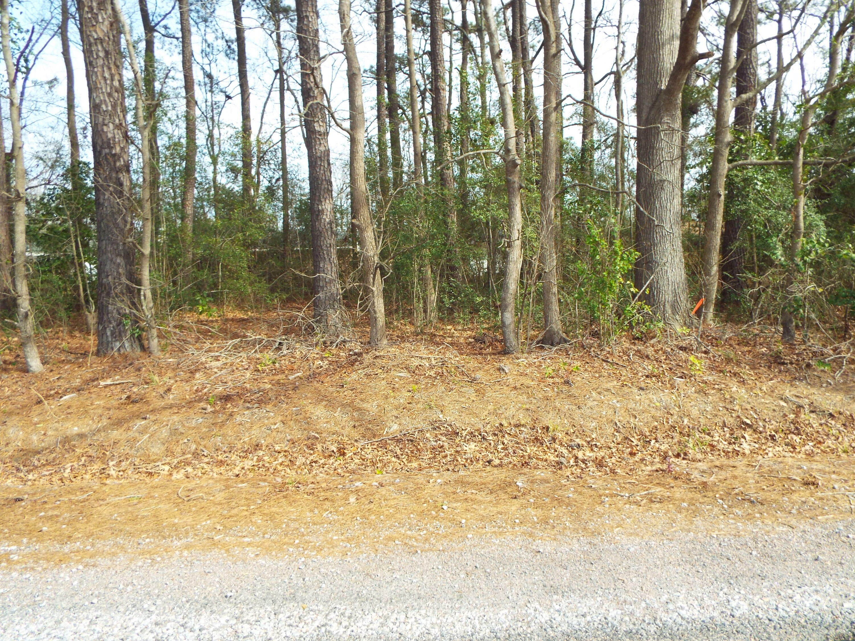 Property Photo:  0 Dennis Drive Lot 26  SC 29445 