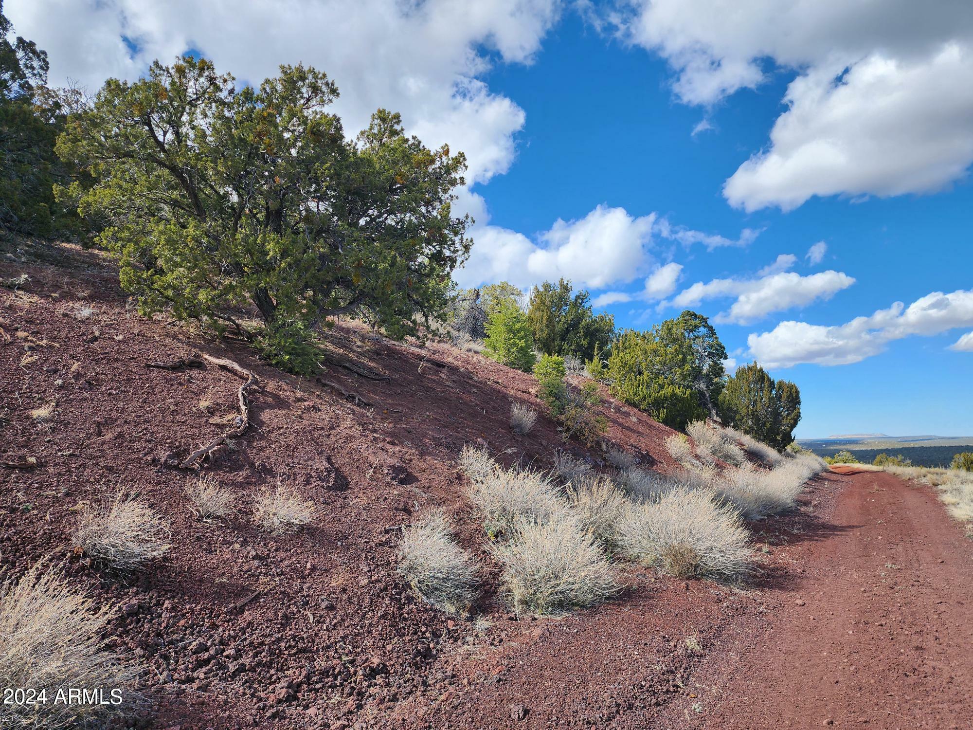 Property Photo:  104 N County 3313 Road 83  AZ 85940 