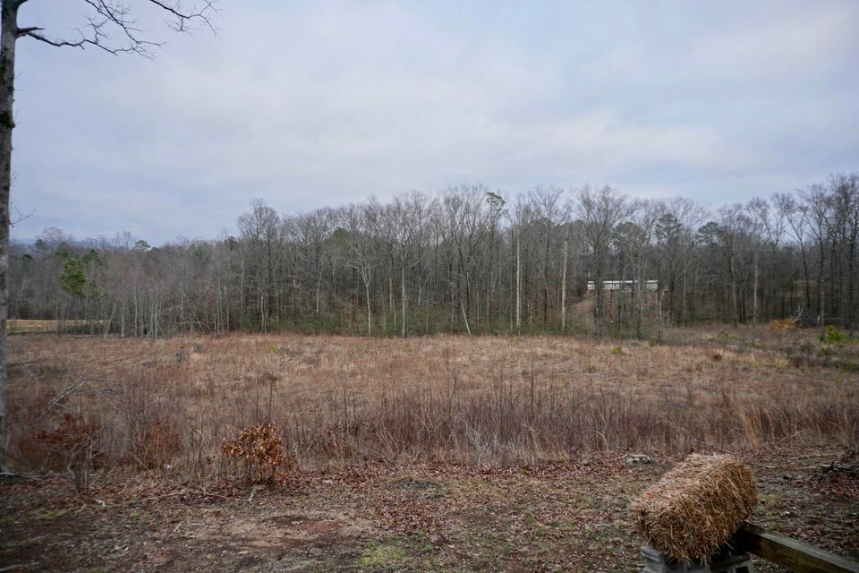 Property Photo:  0 Wilson Road  GA 30705 