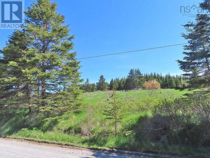 Property Photo:  Lot 4 Highway 4  NS B0E 3B0 