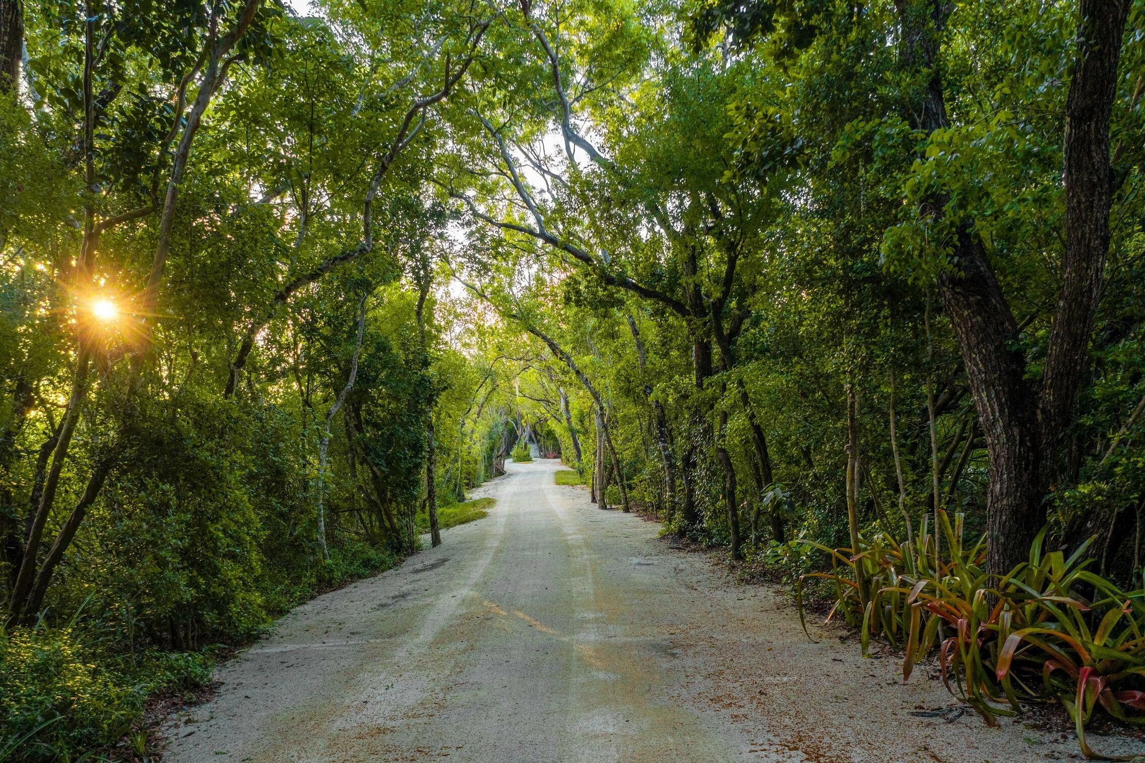 Property Photo:  94100 Overseas Highway  FL 33070 