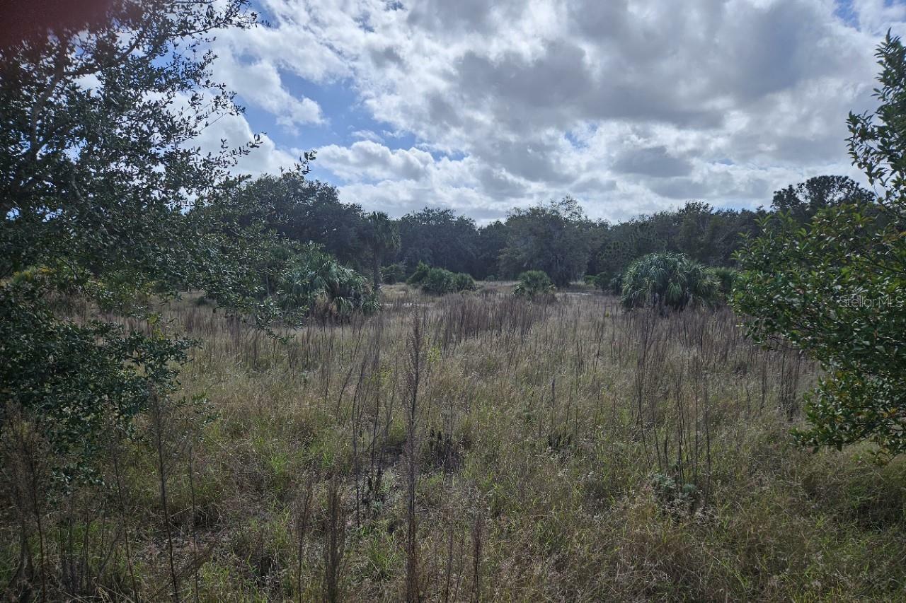 Property Photo:  0 Lane Park Road  FL 32778 