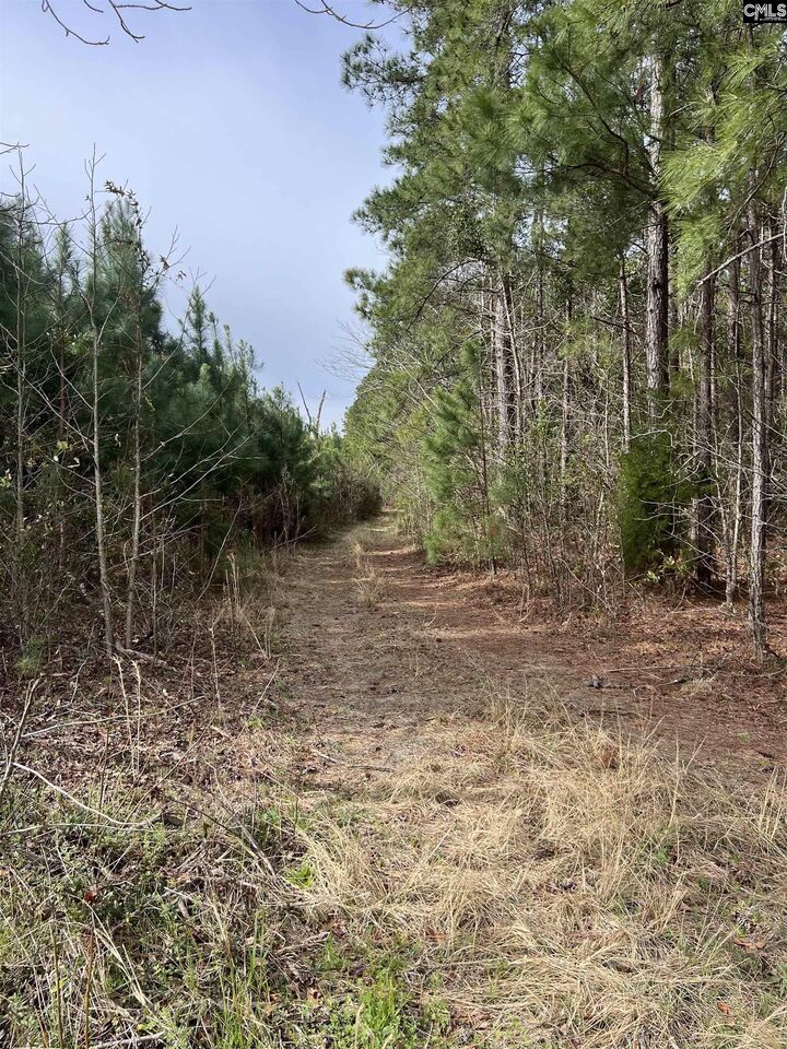 Property Photo:  5684 Moses Dingle  SC 29102 