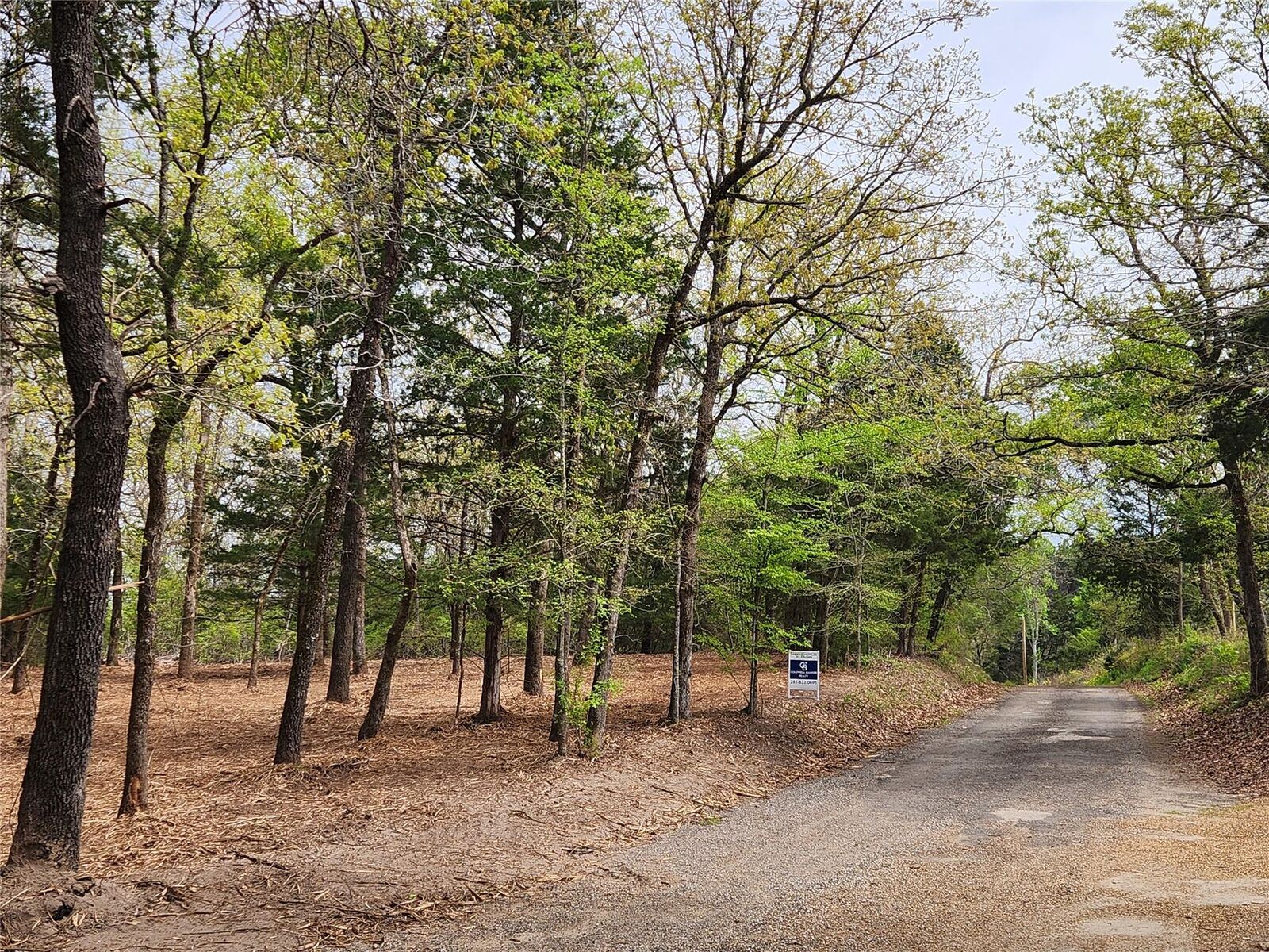 Property Photo:  0 County Road 4710 Lot 465  TX 75770 