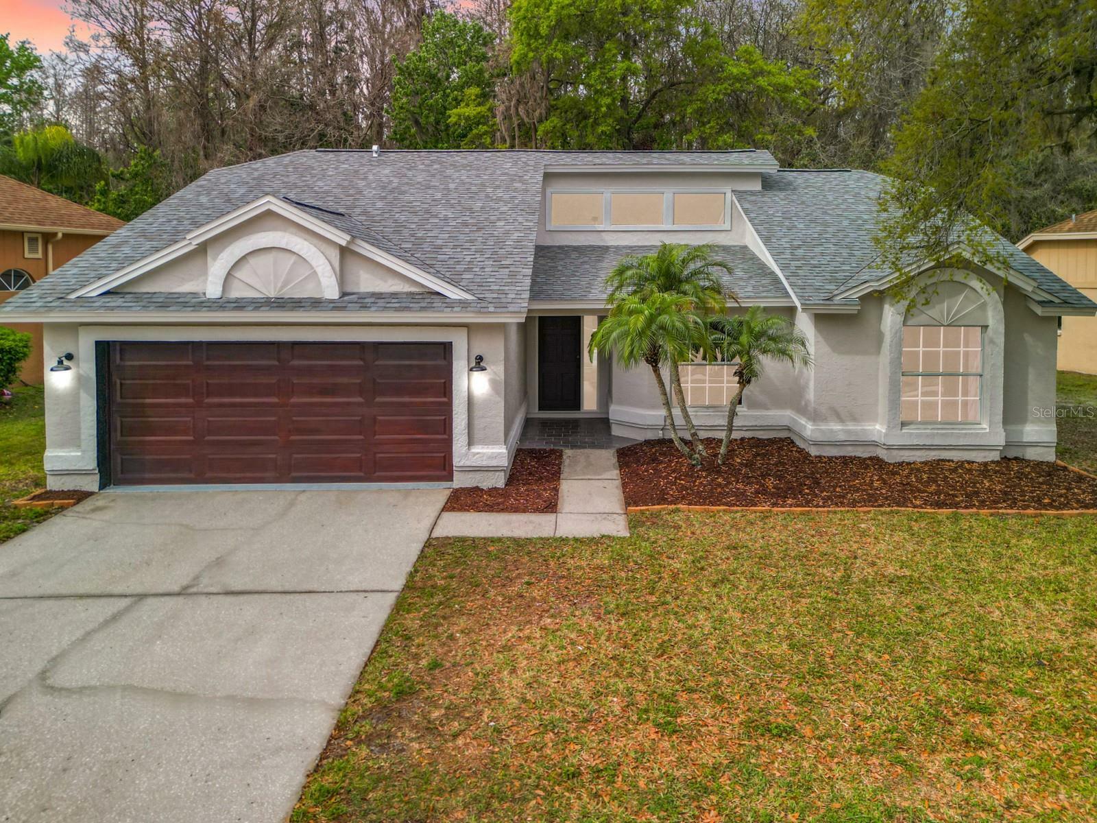 Property Photo: 4631 Rowe Drive FL 34653