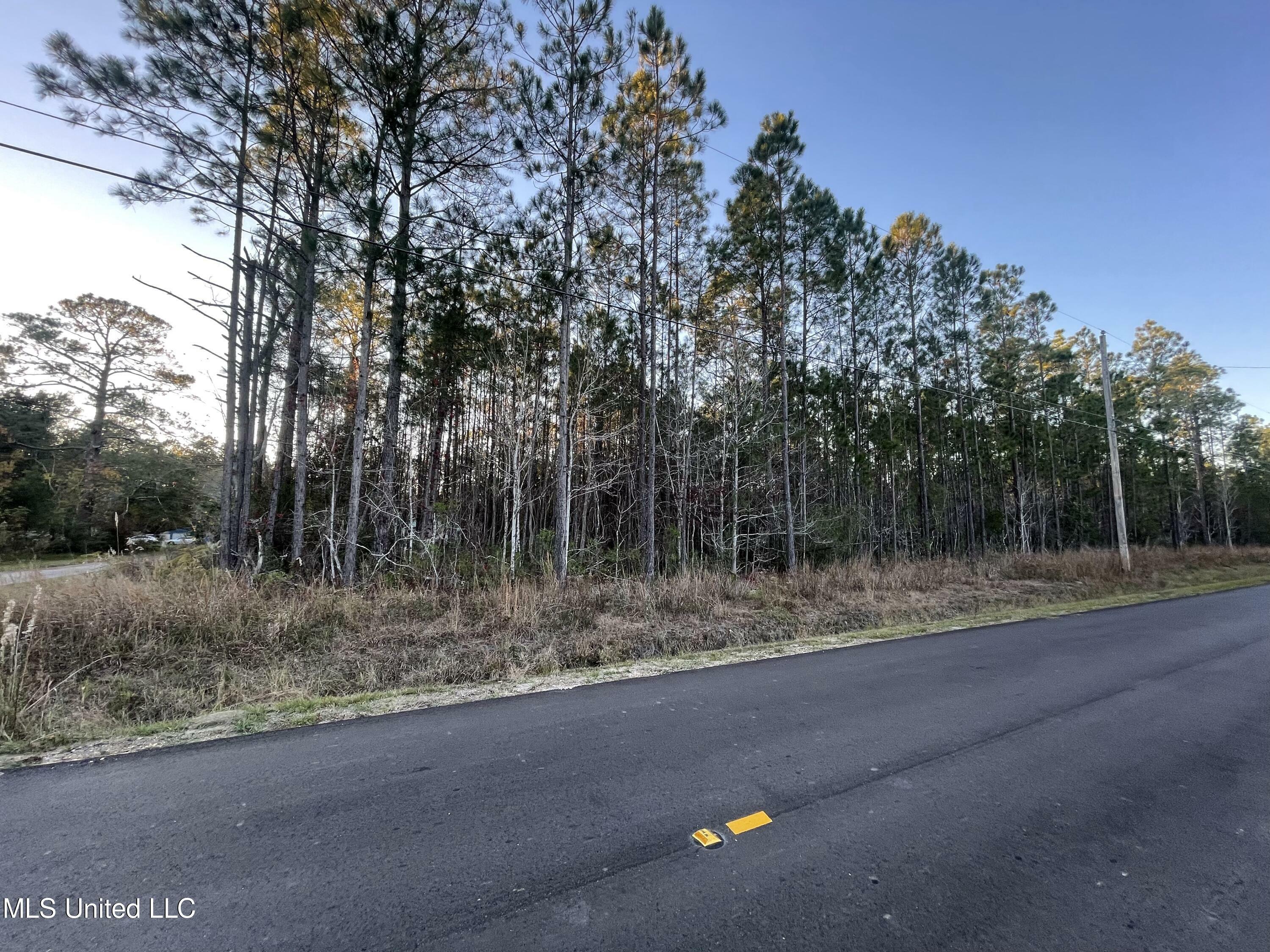 Property Photo:  0 Oak Street  MS 39520 