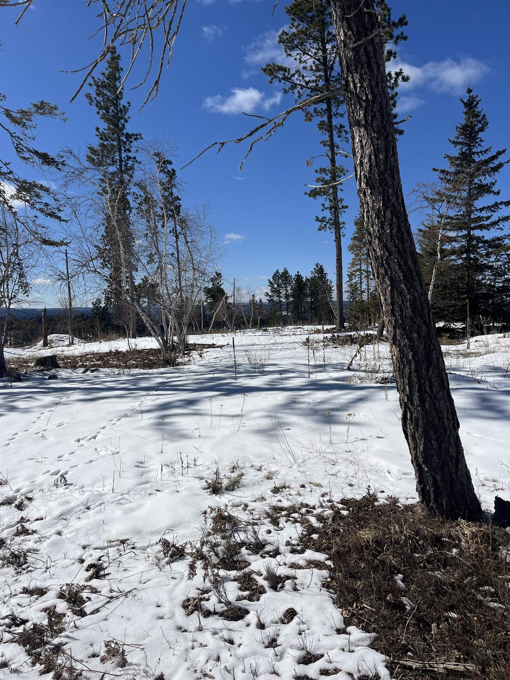 Property Photo:  Lot 19 Block 10  SD 57754 