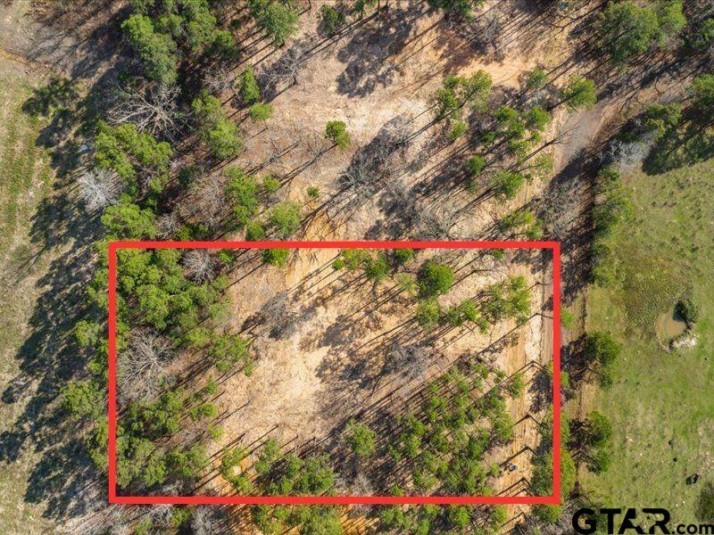 Property Photo:  Lot 5 County Road 2540  TX 75773 