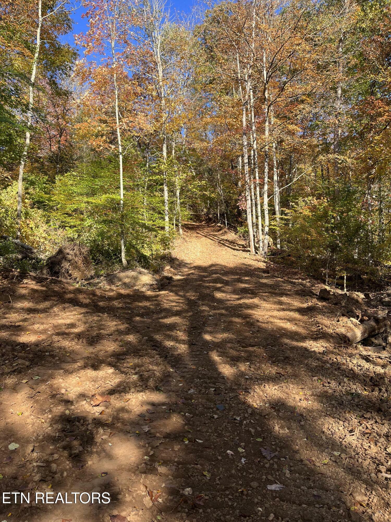 Property Photo:  Skaggs Hollow Rd  TN 37879 